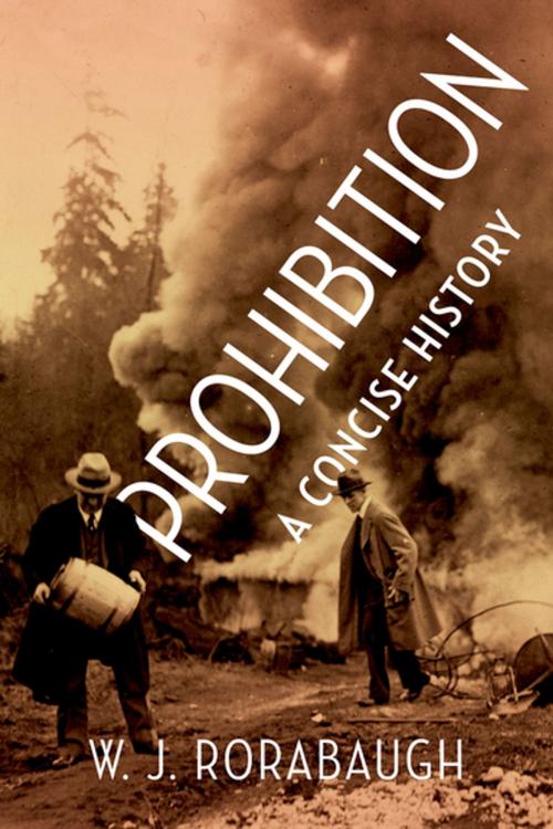 Cover of the book Prohibition by W. J. Rorabaugh, Oxford University Press