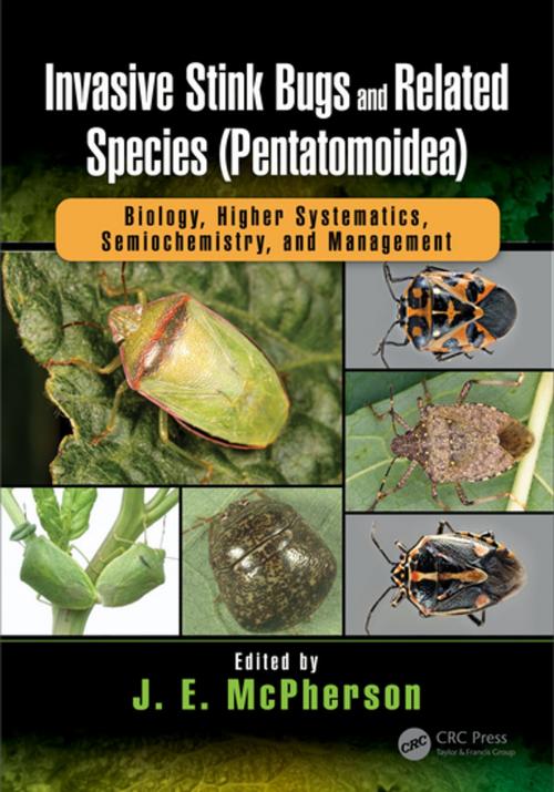 Cover of the book Invasive Stink Bugs and Related Species (Pentatomoidea) by , CRC Press