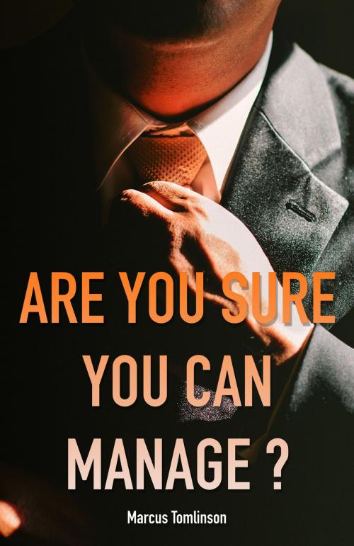 Cover of the book Are You Sure You Can Manage?: Software Engineering Management from the Software Engineers' Perspective by Marcus Tomlinson, Marcus Tomlinson