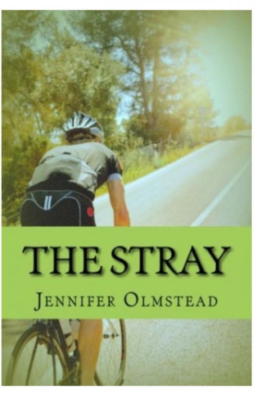 Cover of the book The Stray by Jennifer Olmstead, Jennifer Olmstead