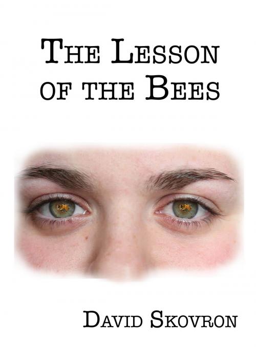 Cover of the book The Lesson Of The Bees by David Skovron, David Skovron