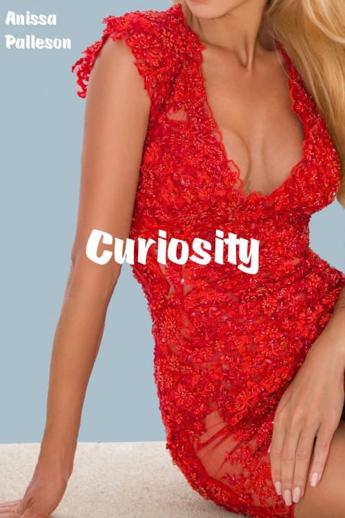 Cover of the book Curiosity by Anissa Palleson, Anissa Palleson