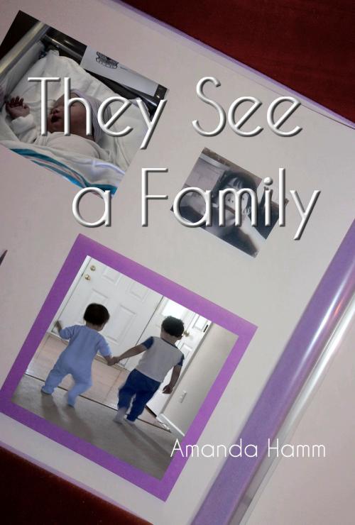 Cover of the book They See a Family by Amanda Hamm, Before Someday Publishing