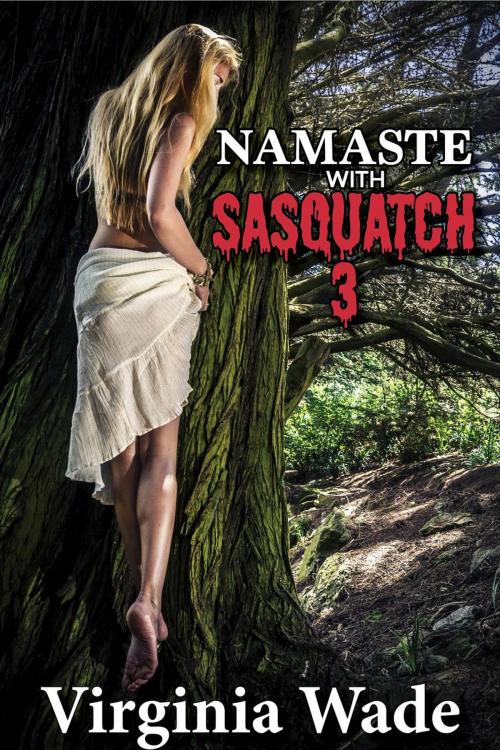 Cover of the book Namaste with Sasquatch 3 by Virginia Wade, I Love Stacy