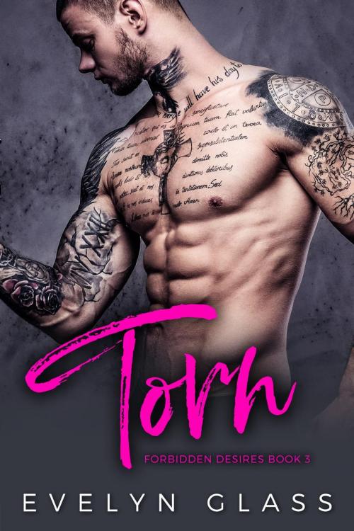 Cover of the book Torn: A Dark Bad Boy Romance by Evelyn Glass, eBook Publishing World