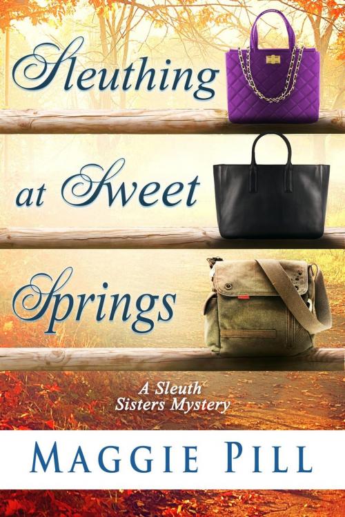 Cover of the book Sleuthing at Sweet Springs by Maggie Pill, Gwendolyn Books