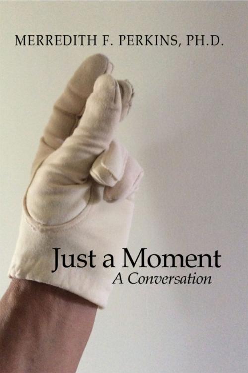 Cover of the book Just a Moment by Merredith F. Perkins, Ph.D., Dorrance Publishing