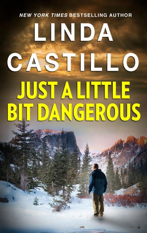 Cover of the book Just a Little Bit Dangerous by Linda Castillo, Harlequin