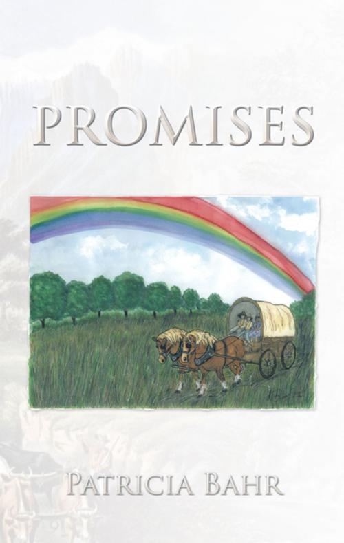 Cover of the book Promises by Patricia Bahr, Trafford Publishing