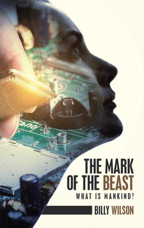 Cover of the book The Mark of the Beast by Billy Wilson, iUniverse