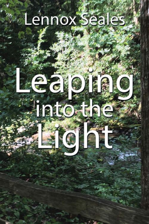 Cover of the book Leaping into the Light by Lennox Seales, Xlibris US