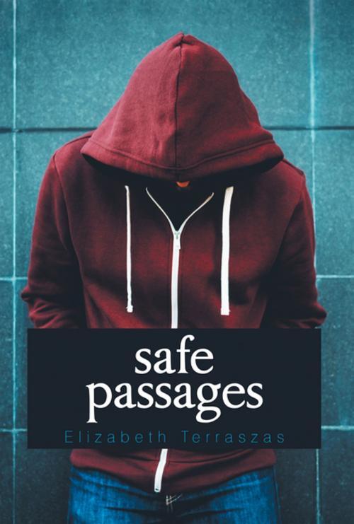 Cover of the book Safe Passages by Elizabeth Terraszas, Xlibris US