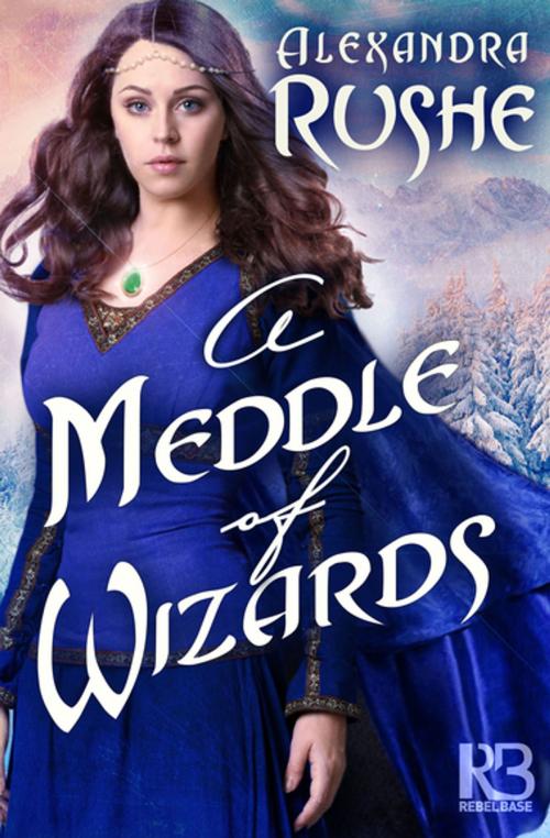 Cover of the book A Meddle of Wizards by Alexandra Rushe, Kensington