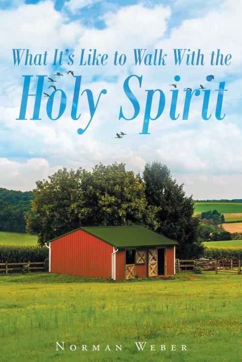 Cover of the book What It's Like to Walk With The Holy Spirit by Norman Weber, Christian Faith Publishing