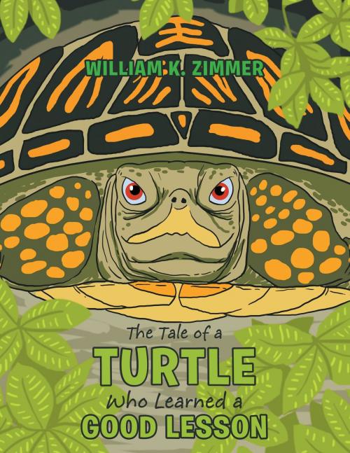 Cover of the book The Tale of a Turtle Who Learned a Good Lesson by William K. Zimmer, AuthorCentrix, Inc.