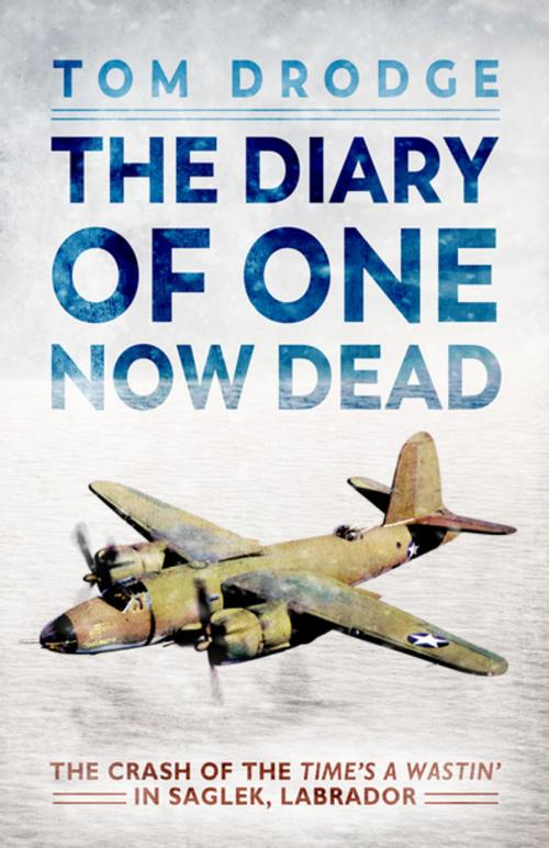 Cover of the book The Diary of One Now Dead by Tom Drodge, Flanker Press