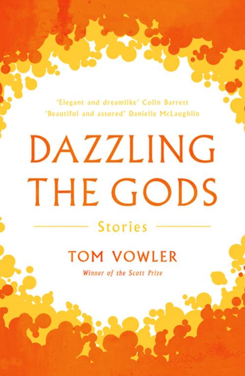 Cover of the book Dazzling the Gods by Tom Vowler, Unbound