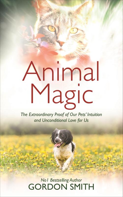 Cover of the book Animal Magic by Gordon Smith, Hay House