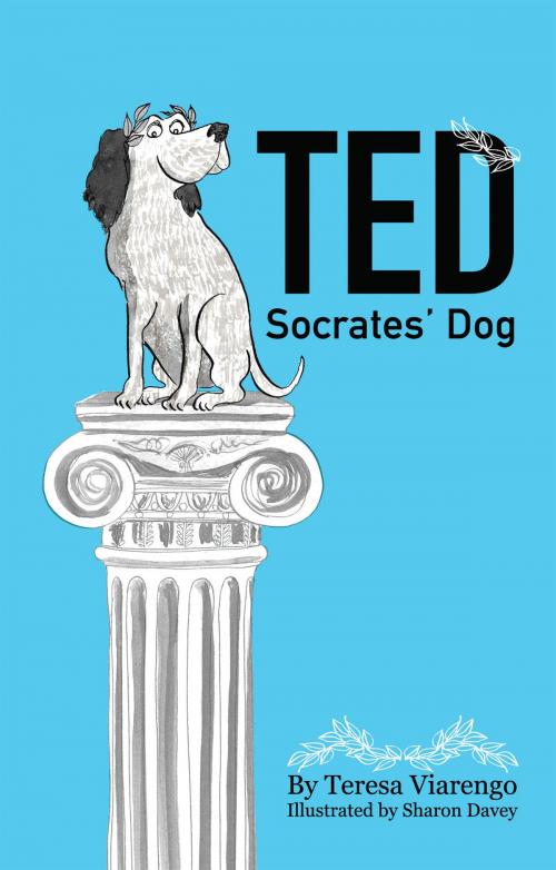 Cover of the book Ted – Socrates’ Dog by Teresa Viarengo, Troubador Publishing Limited