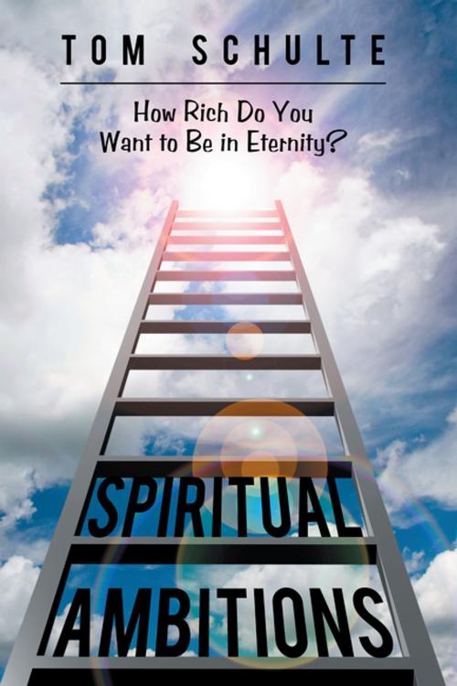 Cover of the book Spiritual Ambitions by Tom Schulte, WestBow Press