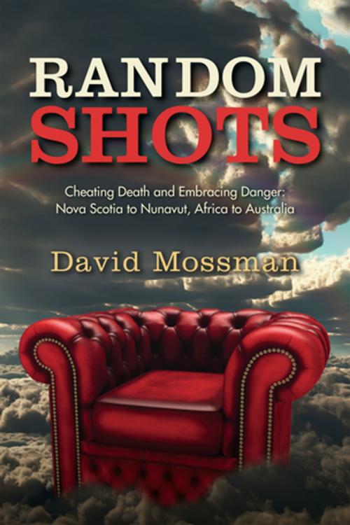 Cover of the book Random Shots by David Mossman, Pottersfield Press