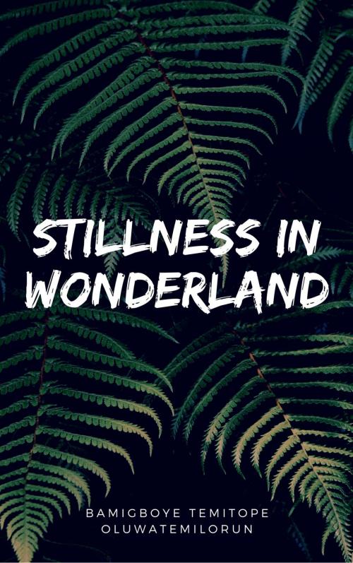 Cover of the book Stillness In Wonderland by Bamigboye Temitope Oluwatemilorun, Publiseer