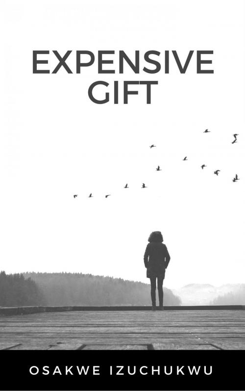 Cover of the book Expensive Gift by Osakwe Izuchukwu, Publiseer