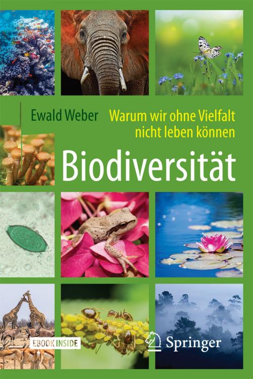 Cover of the book Biodiversität - Warum wir ohne Vielfalt nicht leben können by Ewald Weber, Springer Berlin Heidelberg