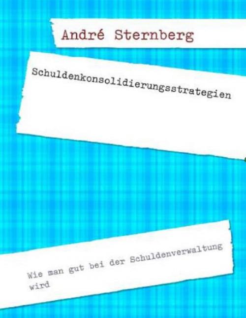 Cover of the book Schuldenkonsolidierungsstrategien by Andre Sternberg, neobooks