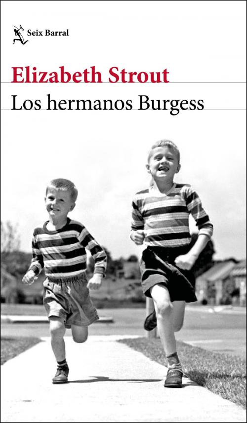 Cover of the book Los hermanos Burgess by Elizabeth Strout, Grupo Planeta