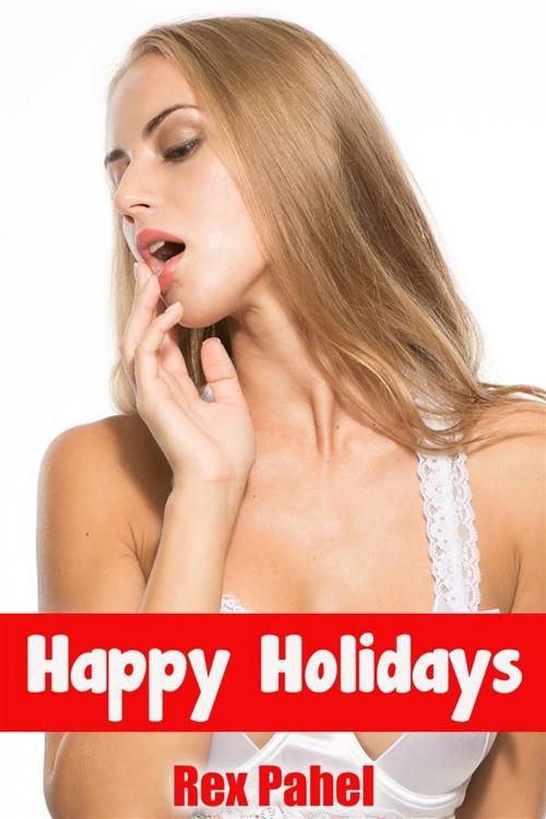 Cover of the book Happy Holidays by Rex Pahel, Rex Pahel