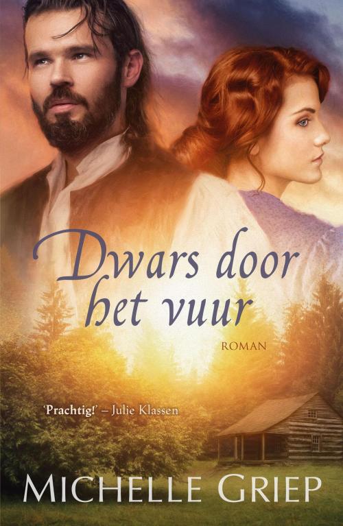 Cover of the book Dwars door het vuur by Michelle Griep, VBK Media