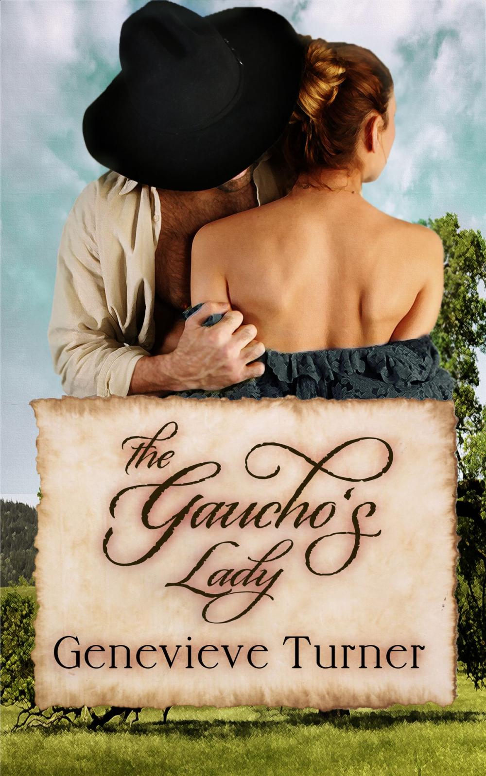 Big bigCover of The Gaucho's Lady