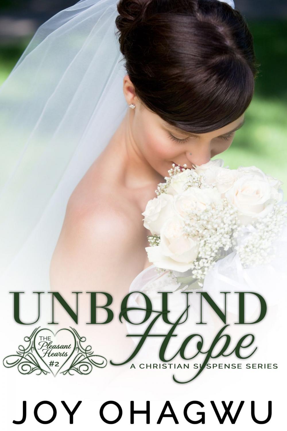 Big bigCover of Unbound Hope