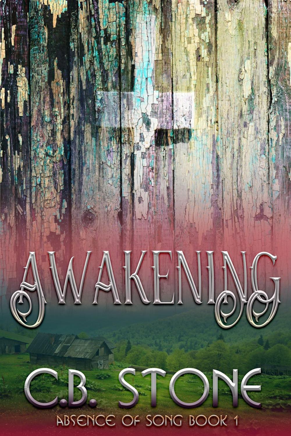 Big bigCover of Awakening