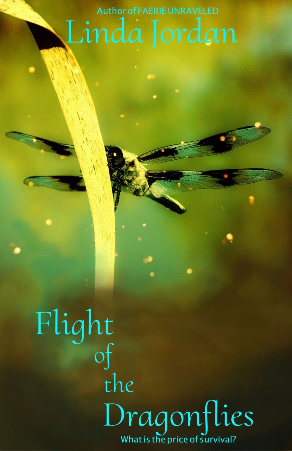 Big bigCover of Flight of the Dragonflies