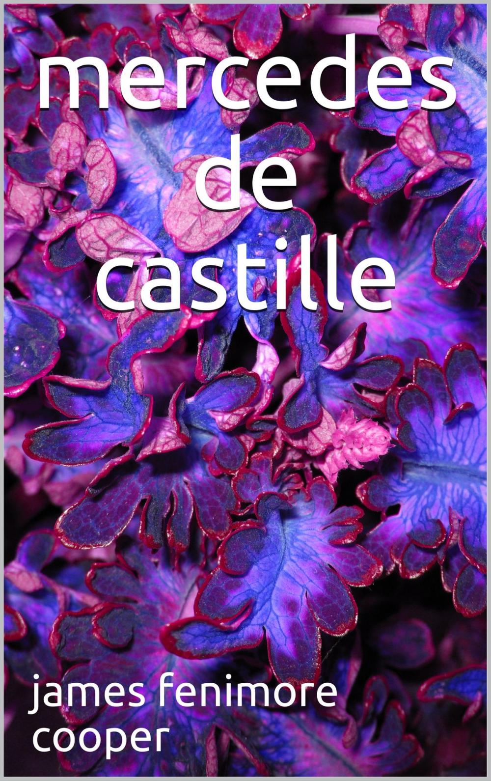 Big bigCover of mercedes de castille