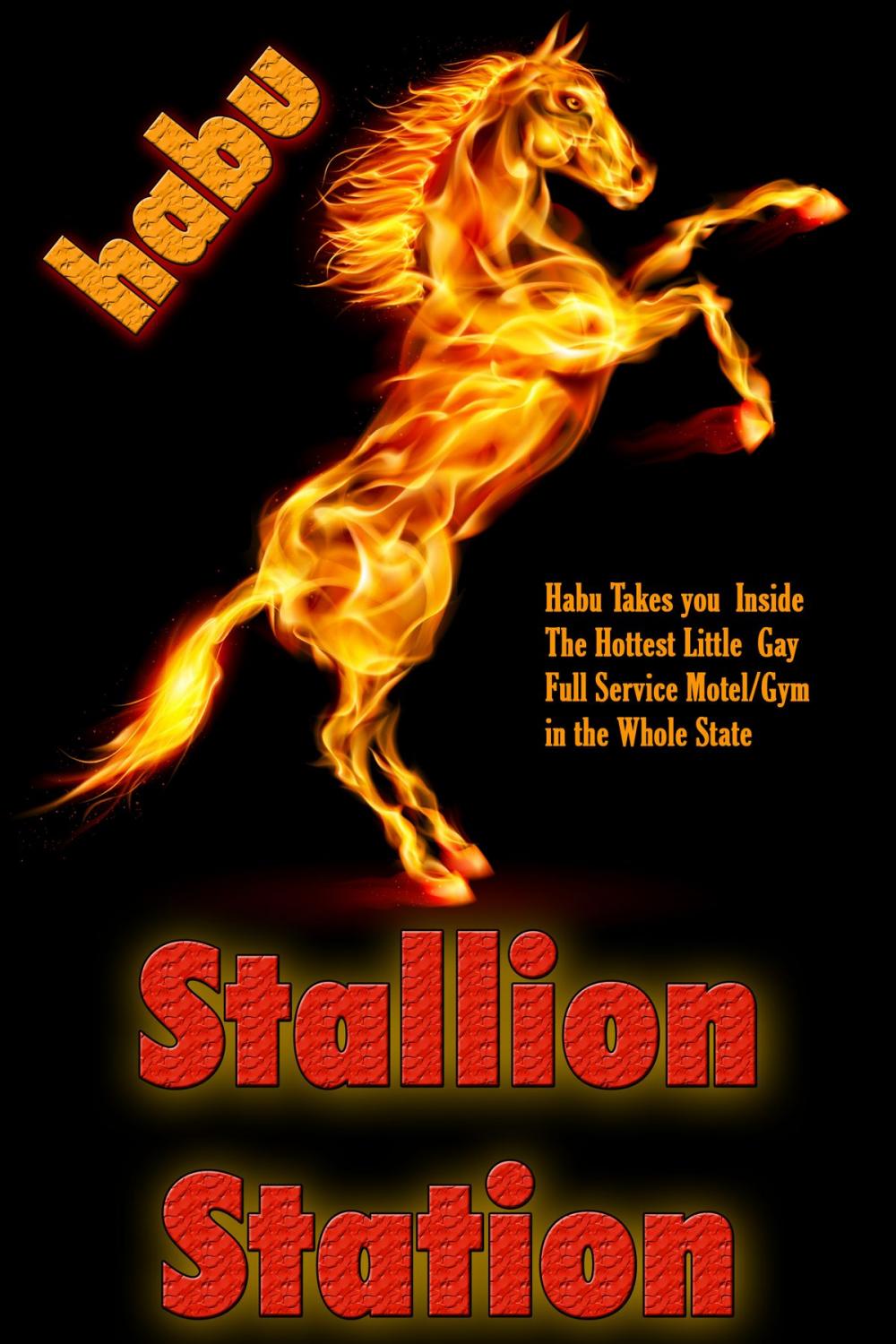 Big bigCover of Stallion Station