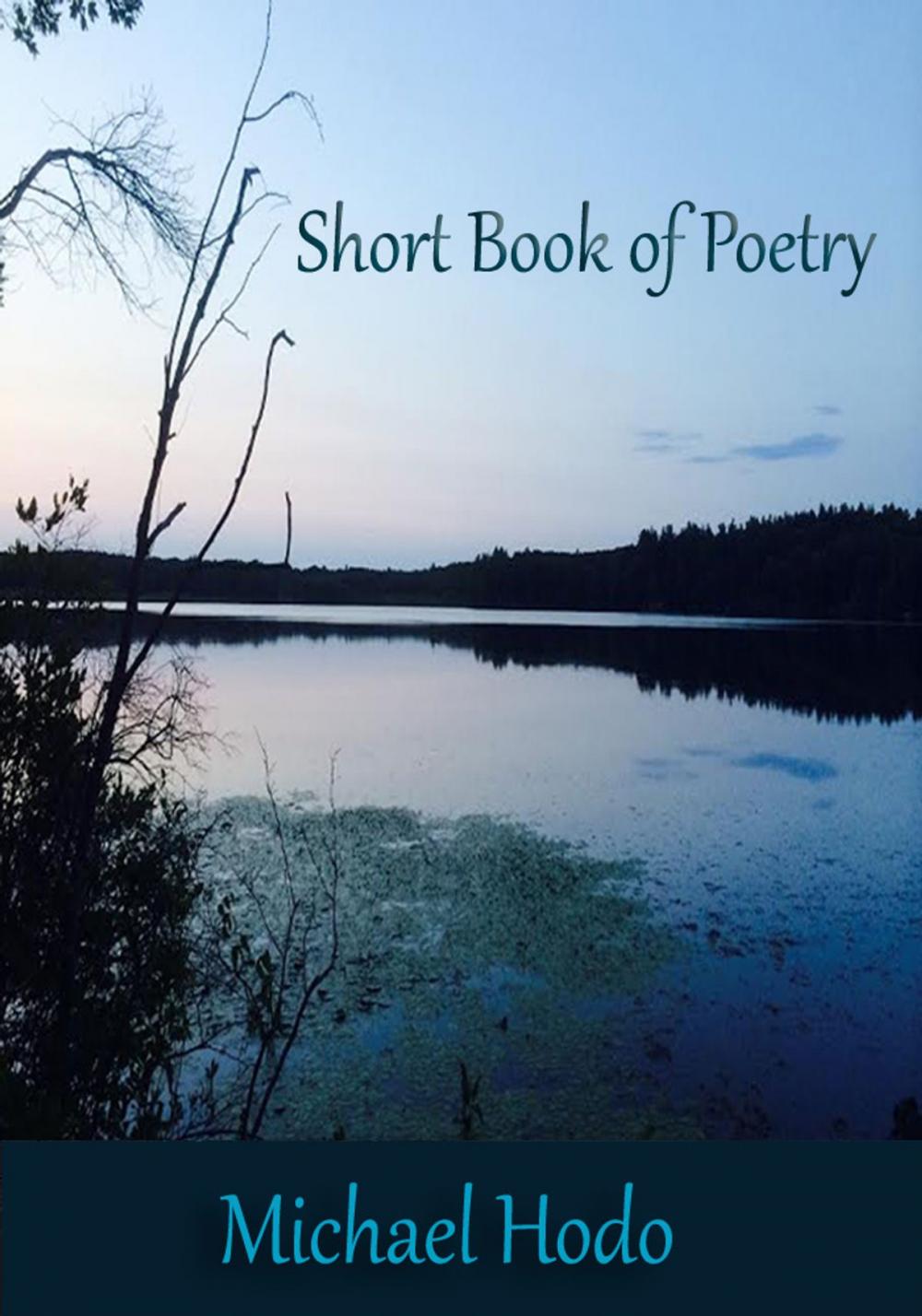 Big bigCover of Short Book of Poetry