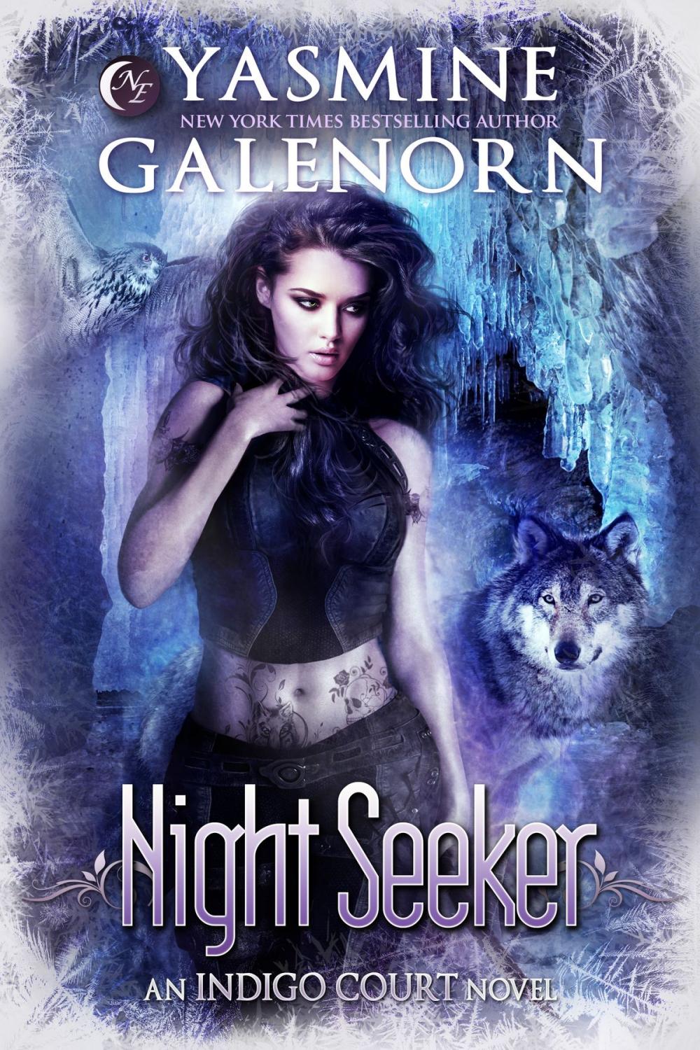 Big bigCover of Night Seeker