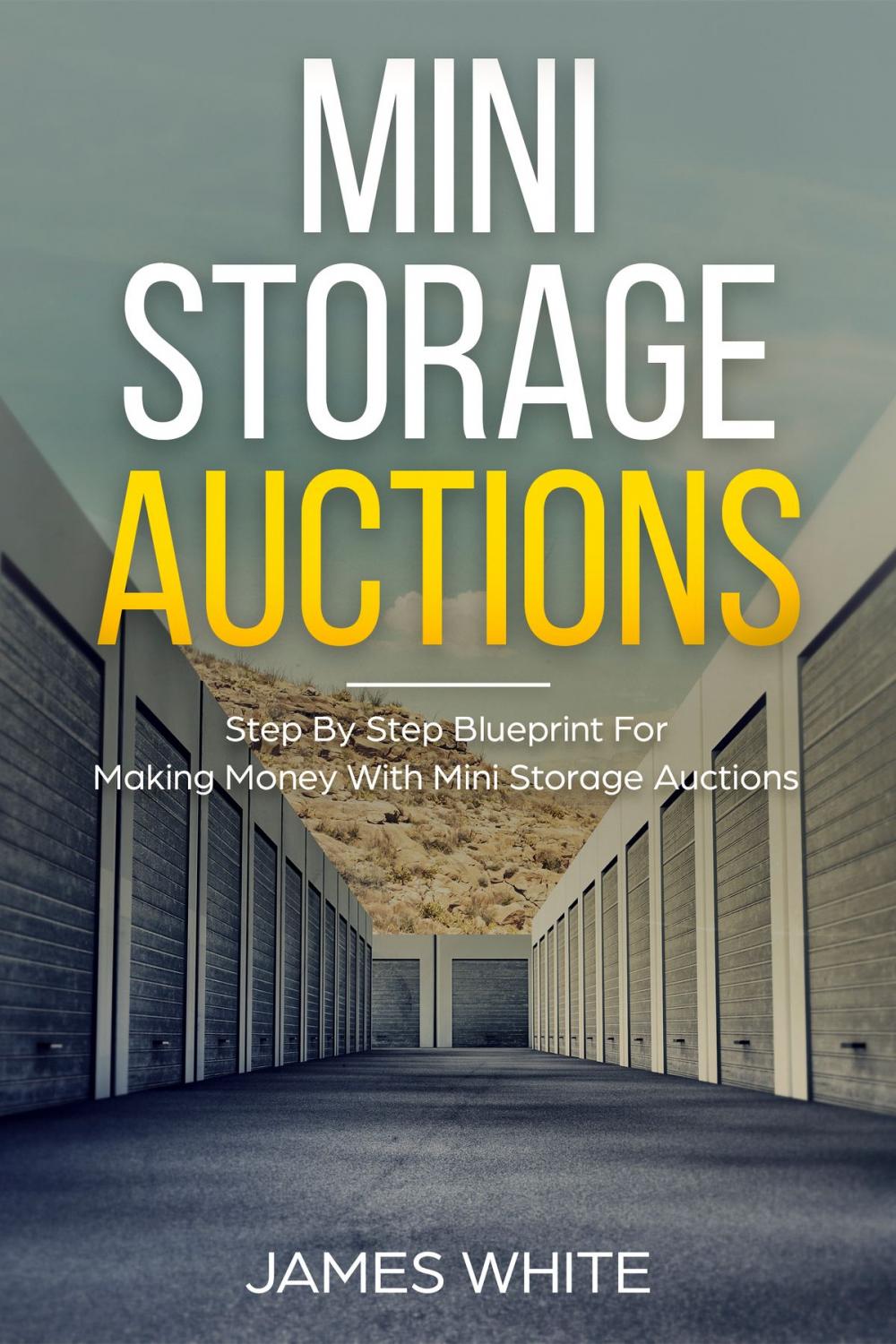 Big bigCover of Mini Storage Auctions