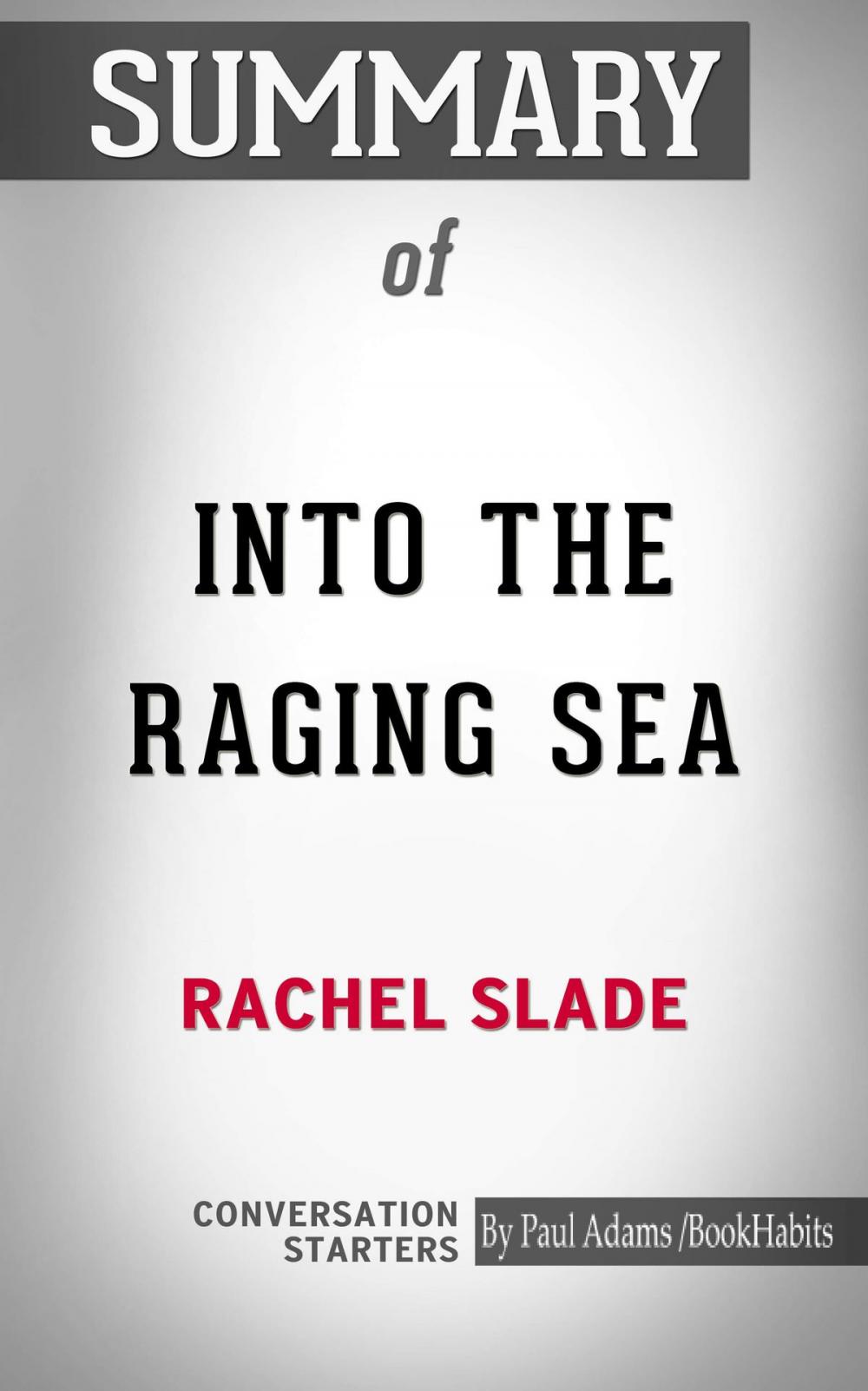 Big bigCover of Summary of Into the Raging Sea: Thirty-Three Mariners, One Megastorm, and the Sinking of El Faro