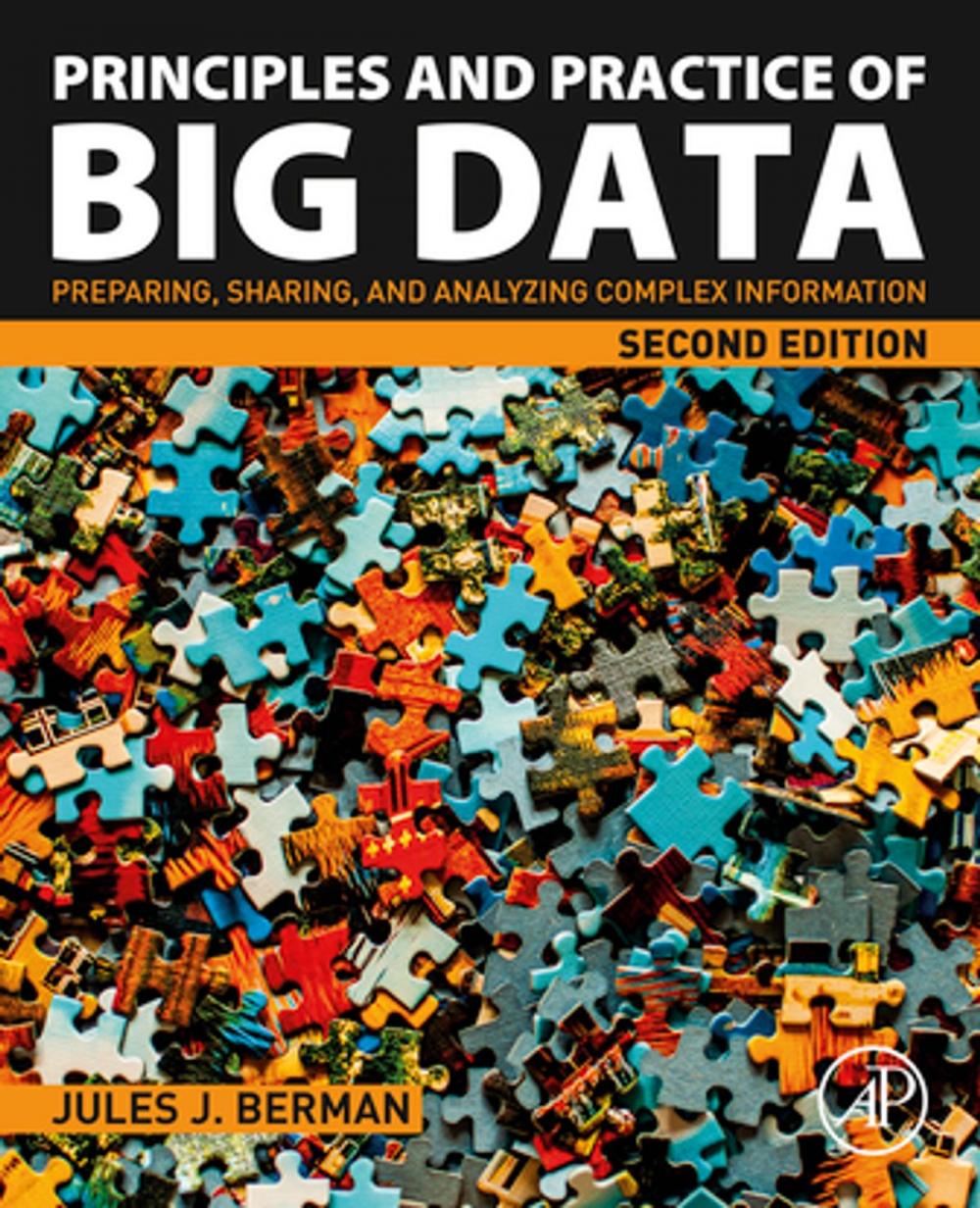 Big bigCover of Principles and Practice of Big Data