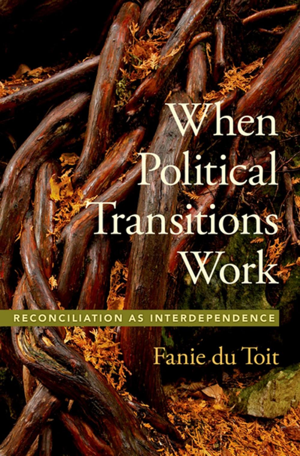 Big bigCover of When Political Transitions Work