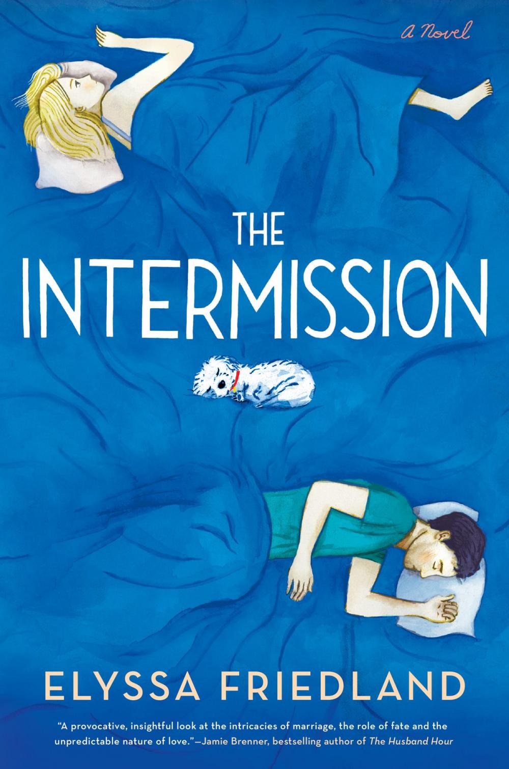 Big bigCover of The Intermission