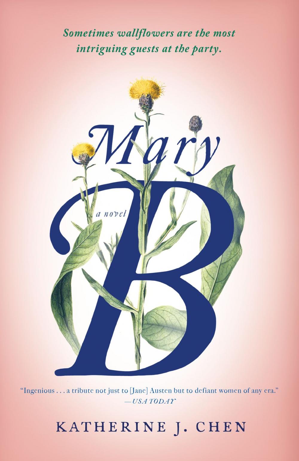 Big bigCover of Mary B