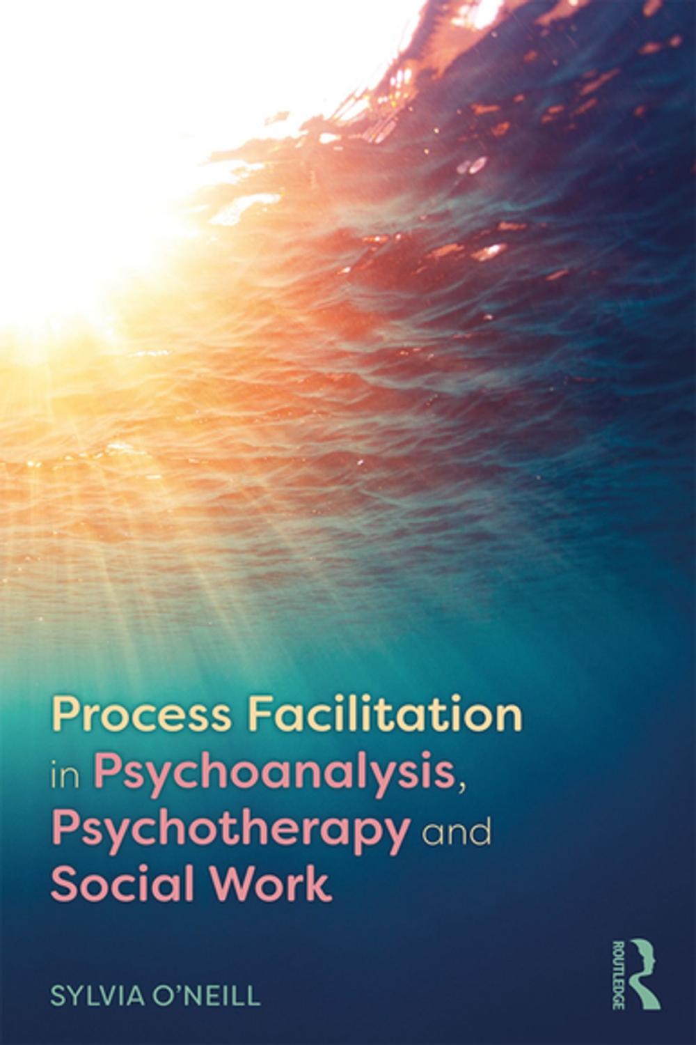 Big bigCover of Process Facilitation in Psychoanalysis, Psychotherapy and Social Work