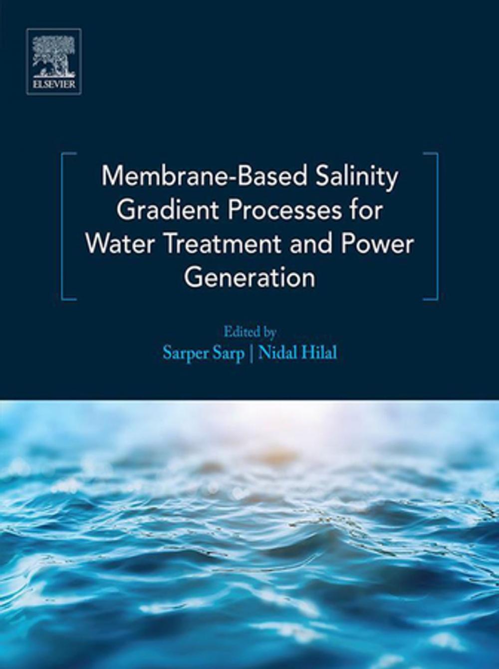 Big bigCover of Membrane-Based Salinity Gradient Processes for Water Treatment and Power Generation