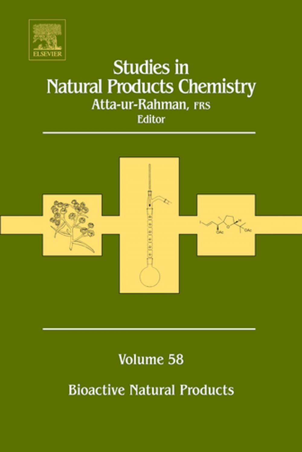 Big bigCover of Studies in Natural Products Chemistry