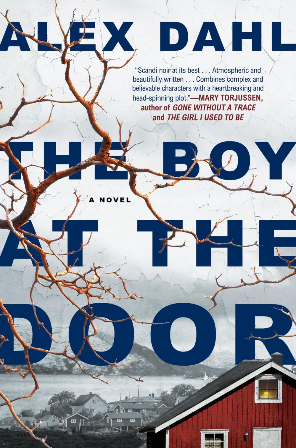 Big bigCover of The Boy at the Door